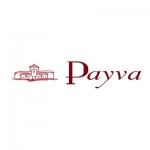LogoPayva